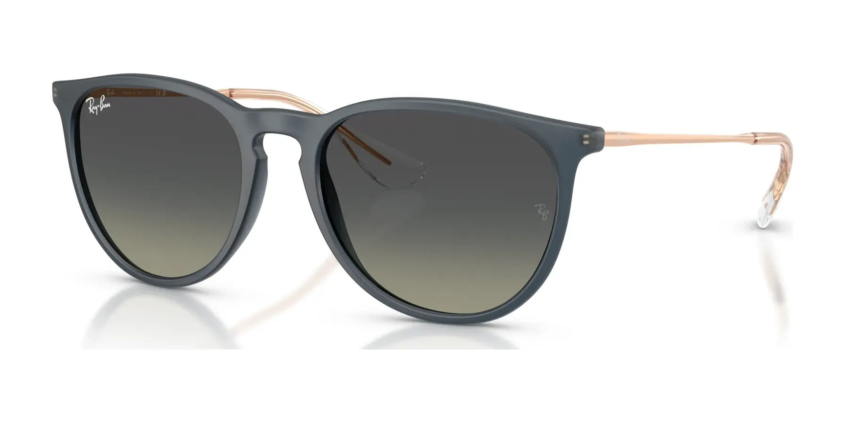 Ray-Ban ERIKA RB4171F Sunglasses Ray-Ban ERIKA RB4171F Sunglasses