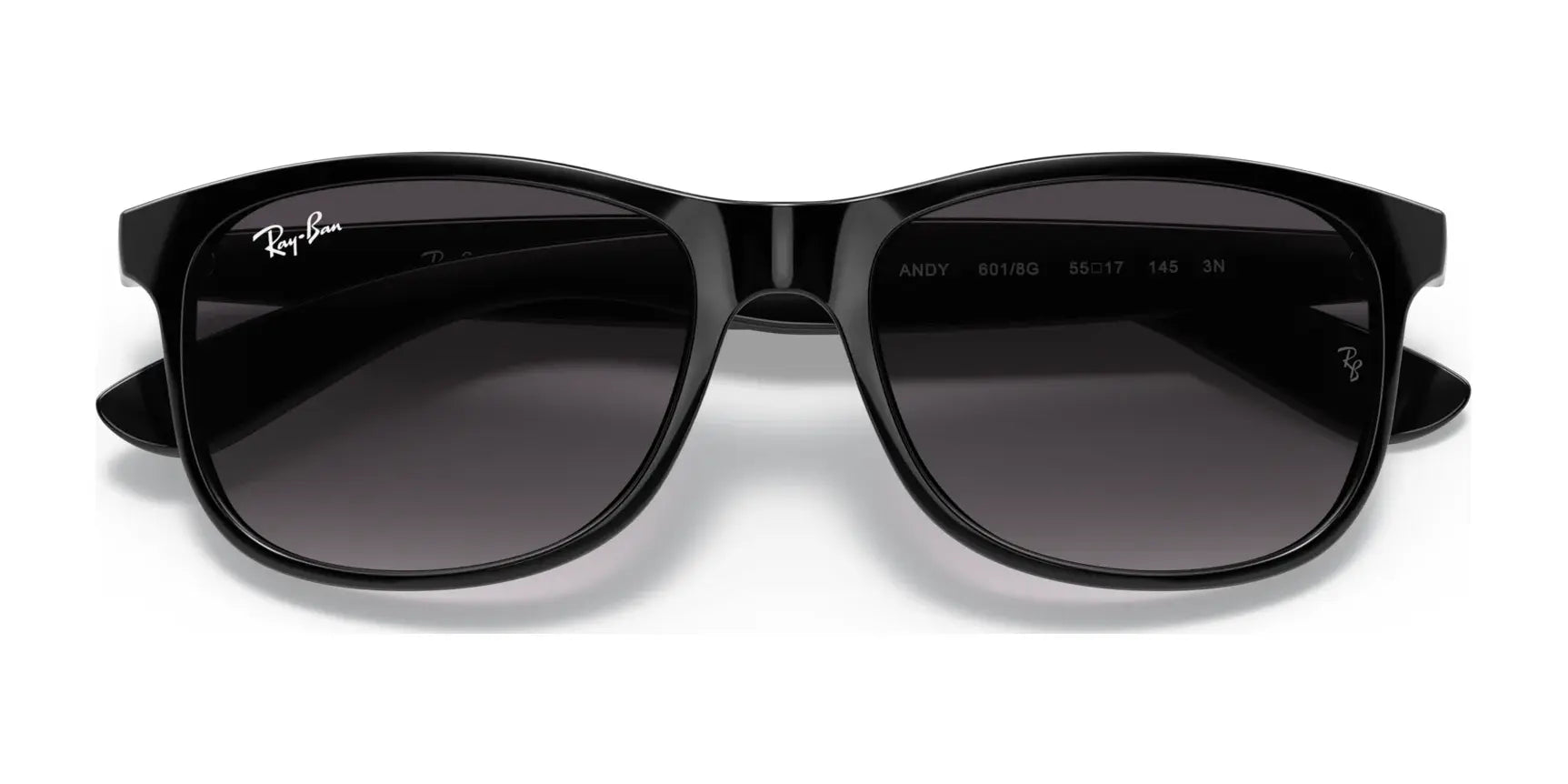 Ray-Ban ANDY RB4202 Sunglasses | Size 55 Ray-Ban ANDY RB4202 Sunglasses | Size 55