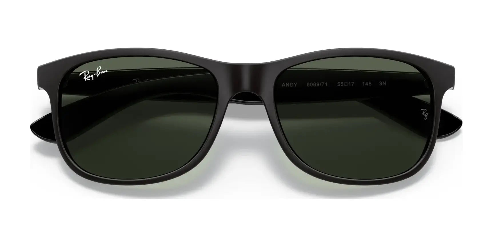 Ray-Ban ANDY RB4202 Sunglasses | Size 55 Ray-Ban ANDY RB4202 Sunglasses | Size 55