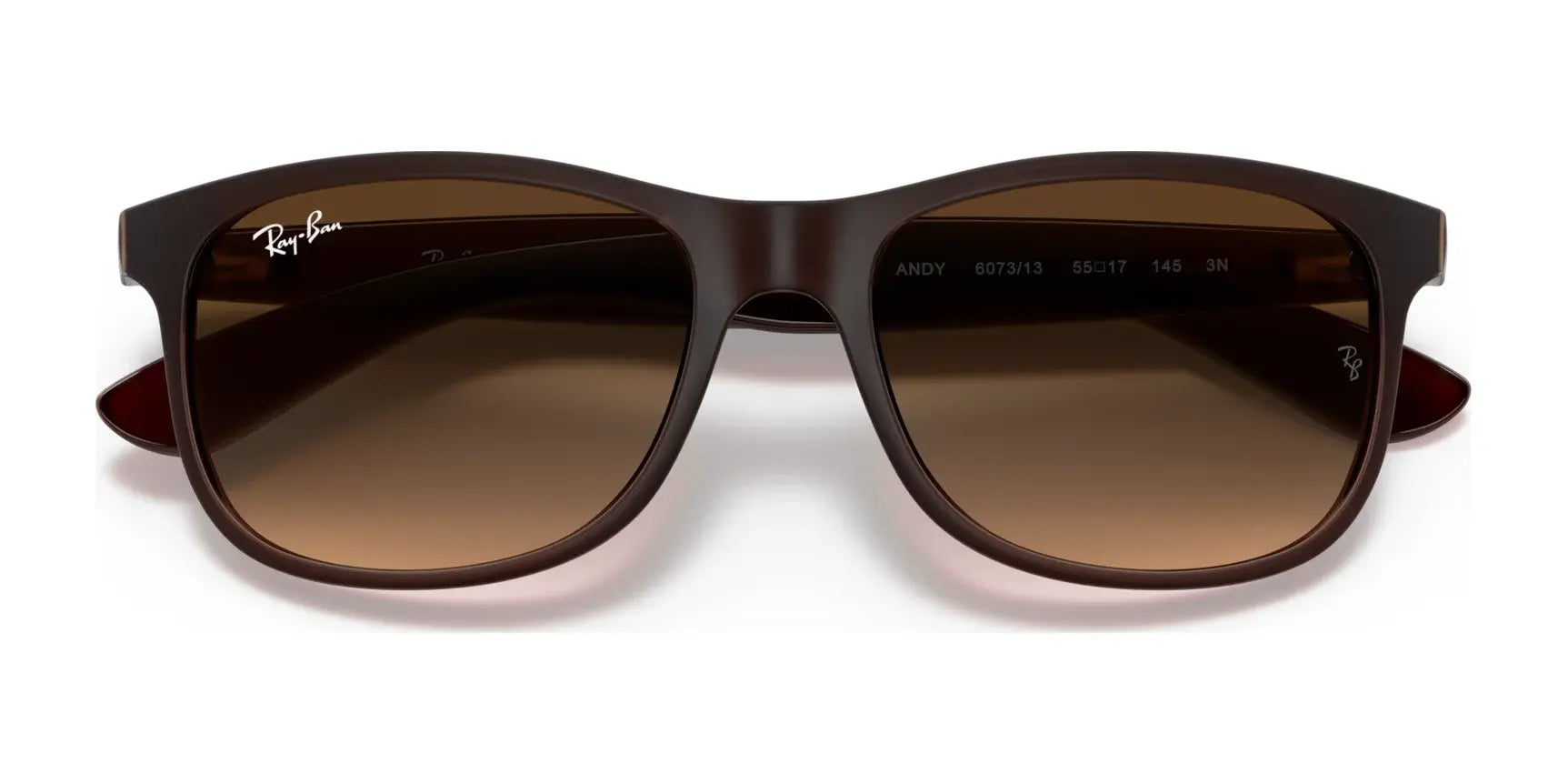 Ray-Ban ANDY RB4202 Sunglasses | Size 55 Ray-Ban ANDY RB4202 Sunglasses | Size 55