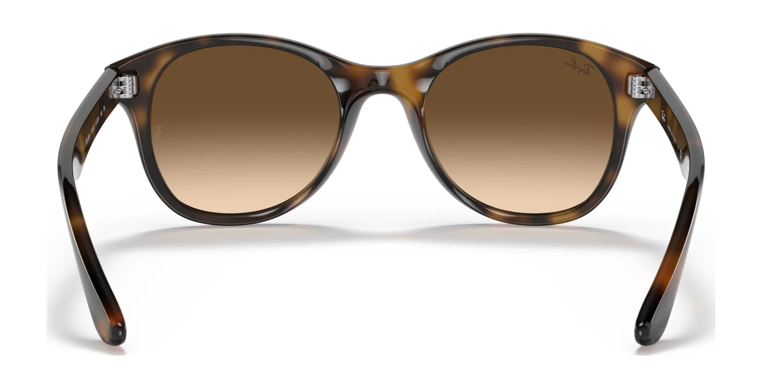 Ray-Ban RB4203 Sunglasses | Size 51 Ray-Ban RB4203 Sunglasses | Size 51