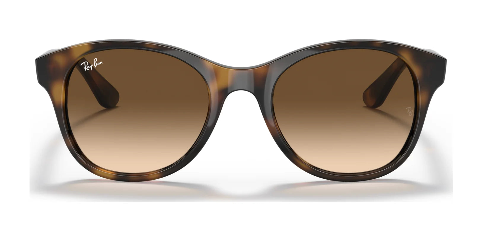 Ray-Ban RB4203 Sunglasses | Size 51 Ray-Ban RB4203 Sunglasses | Size 51