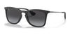 Ray-Ban RB4221 Sunglasses | Size 50 / Rubber Black №622/8G / Grey Gradient (3N 15.2%)