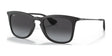 Ray-Ban RB4221 Sunglasses Rubber Black / Grey Gradient Ray-Ban RB4221 Sunglasses Rubber Black / Grey Gradient