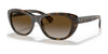 Ray-Ban RB4227 Sunglasses | Size 55 / Light Havana №710/T5 / Brown (Polarized) (3P 16.7%)