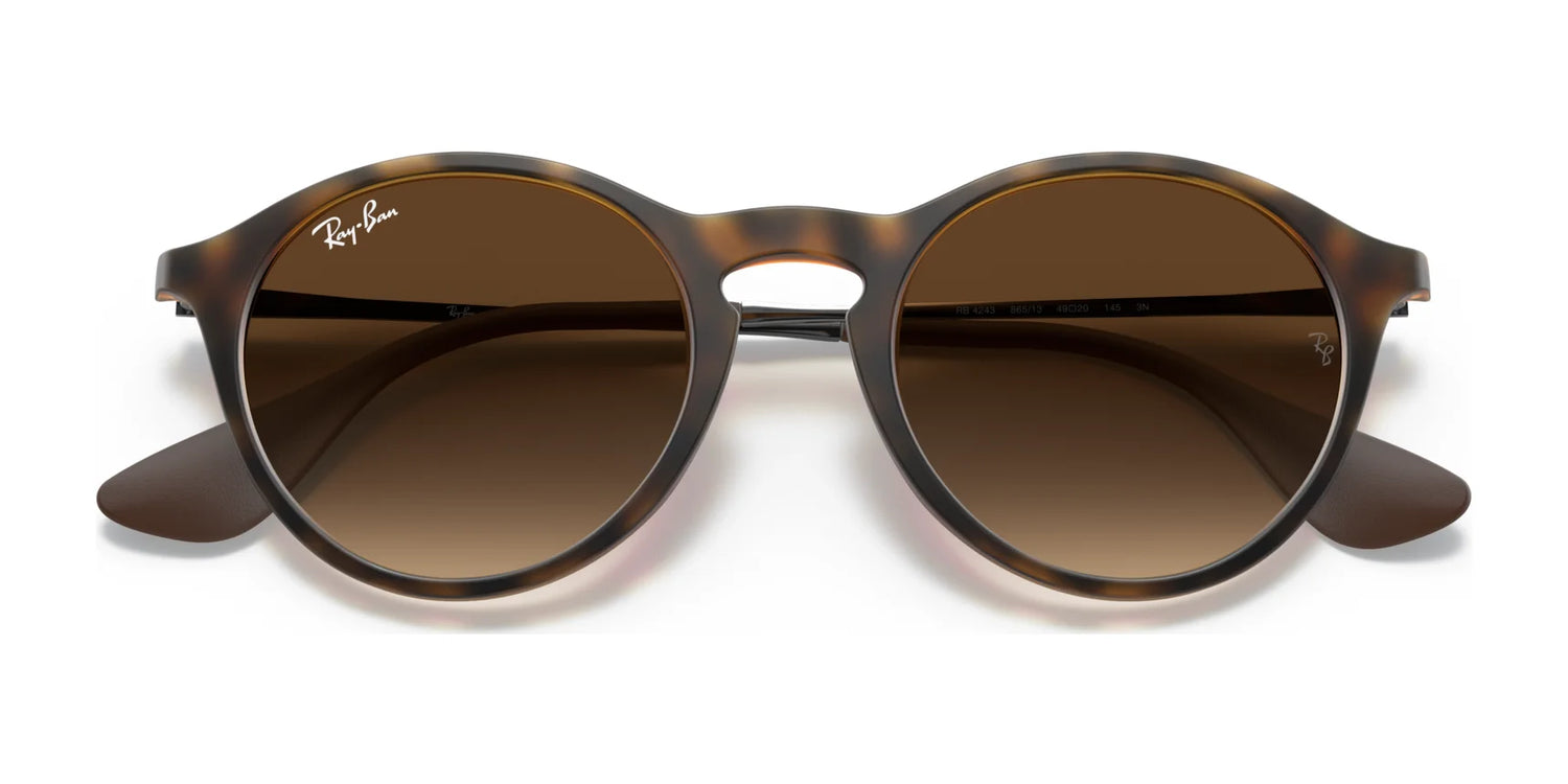 Ray-Ban RB4243 Sunglasses | Size 49 Ray-Ban RB4243 Sunglasses | Size 49