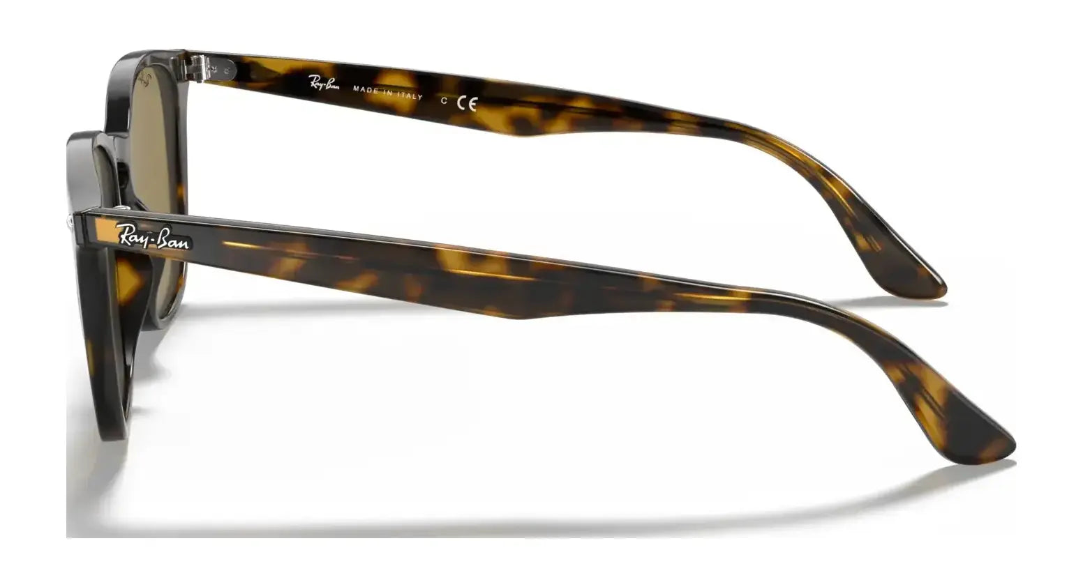 Ray-Ban RB4258F Sunglasses | Size 52 Ray-Ban RB4258F Sunglasses | Size 52