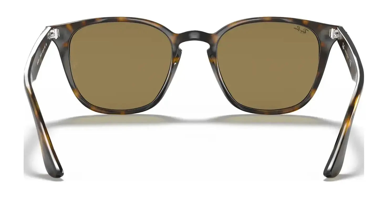 Ray-Ban RB4258F Sunglasses | Size 52 Ray-Ban RB4258F Sunglasses | Size 52