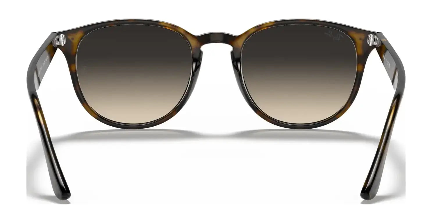 Ray-Ban RB4259 Sunglasses | Size 51 Ray-Ban RB4259 Sunglasses | Size 51