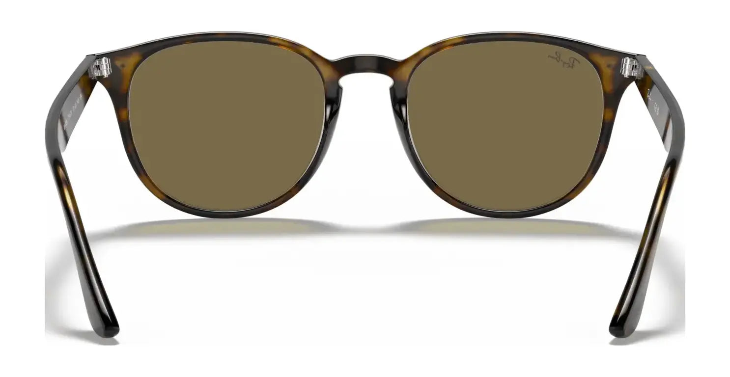 Ray-Ban RB4259 Sunglasses | Size 51 Ray-Ban RB4259 Sunglasses | Size 51