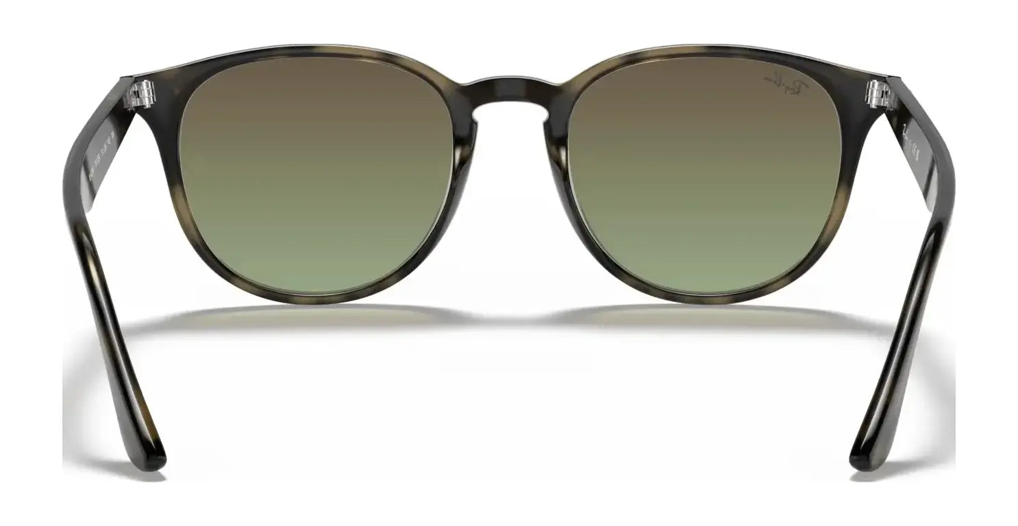 Ray-Ban RB4259 Sunglasses | Size 51 Ray-Ban RB4259 Sunglasses | Size 51