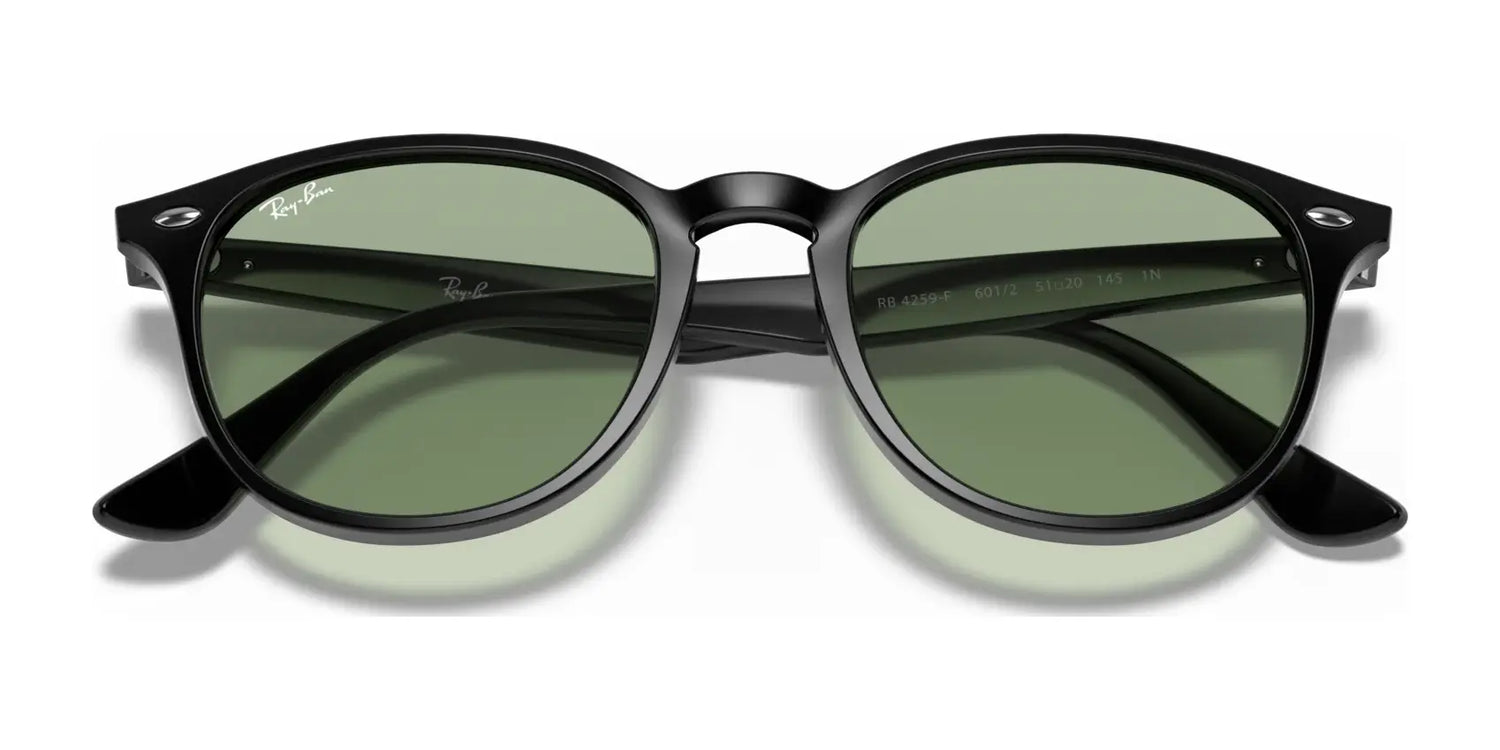 Ray-Ban RB4259F Sunglasses | Size 53 Ray-Ban RB4259F Sunglasses | Size 53