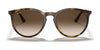 Ray-Ban RB4274 Sunglasses / Havana №856/13 / Brown Gradient Dark Brown (3N 16%)