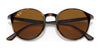 Ray-Ban RB4336 Sunglasses | Size 50 / Havana №710/33 / B-15 Brown (3N 14.6%)