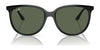 Ray-Ban RB4378 Sunglasses | Size 54 / Black №601/8G / Grey Gradient (3N 15.2%)
