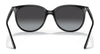 Ray-Ban RB4378 Sunglasses | Size 54 / Black №601/8G / Grey Gradient (3N 15.2%)