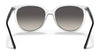 Ray-Ban RB4378 Sunglasses | Size 54 / Black №601/8G / Grey Gradient (3N 15.2%)