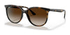 Ray-Ban RB4378 Sunglasses | Size 54 / Havana №710/13 / Gradient Brown (3N 16%)