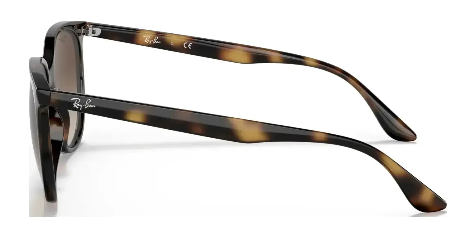 Ray-Ban RB4378 Sunglasses | Size 54 Ray-Ban RB4378 Sunglasses | Size 54