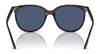 Ray-Ban RB4378 Sunglasses | Size 54 / Black №601/8G / Grey Gradient (3N 15.2%)