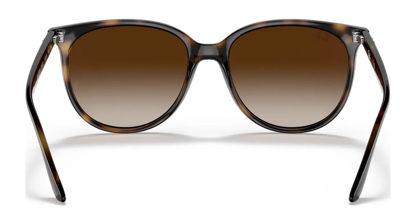 Ray-Ban RB4378F Sunglasses | Size 54 Ray-Ban RB4378F Sunglasses | Size 54