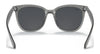 Ray-Ban RB4379D Sunglasses | Size 55 / Black №601/71 / Dark Green (3N 12.9%)