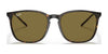 Ray-Ban RB4387F Sunglasses | Size 55 / Black №901/71 / Green Classic (3N 14.0%)