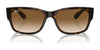 Ray-Ban RB4388 Sunglasses | Size 58 / Havana №710/51 / Clear & Brown (2N 30.5%)