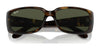 Ray-Ban RB4389 Sunglasses / Black №601/31 / Green (3N 13.2%) / Size 58