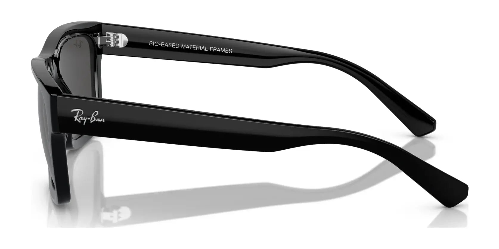 Ray-Ban WARREN RB4396 Sunglasses Ray-Ban WARREN RB4396 Sunglasses