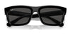 Ray-Ban WARREN RB4396 Sunglasses / Black №667771 / Dark Green (3N 14.3%) / Size 54