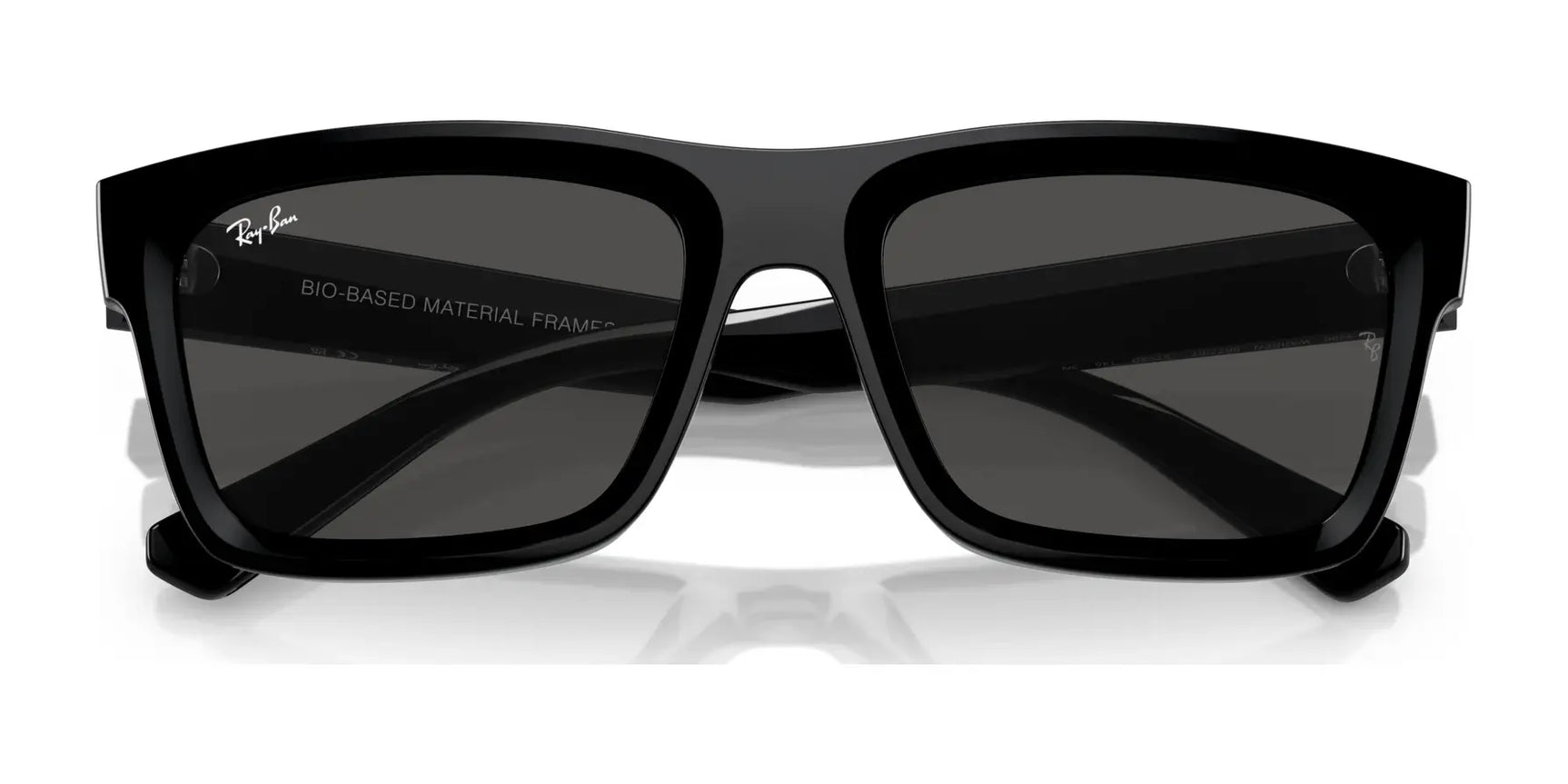 Ray-Ban WARREN RB4396 Sunglasses Ray-Ban WARREN RB4396 Sunglasses