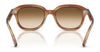 Ray-Ban ERIK RB4398 Sunglasses / Black №901/31 / Green (3N 13.2%) / Size 51