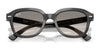 Ray-Ban ERIK RB4398 Sunglasses / Black №901/31 / Green (3N 13.2%) / Size 51