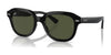 Ray-Ban ERIK RB4398 Sunglasses / Black №901/31 / Green (3N 13.2%) / Size 51