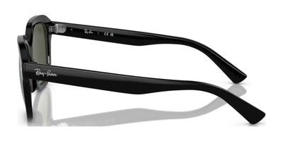 Ray-Ban ERIK RB4398 Sunglasses