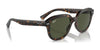 Ray-Ban ERIK RB4398 Sunglasses / Black №901/31 / Green (3N 13.2%) / Size 51