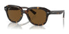 Ray-Ban ERIK RB4398 Sunglasses / Havana №902/57 / Brown (Polarized) (3P 11.9%) / Size 51