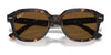 Ray-Ban ERIK RB4398 Sunglasses / Black №901/31 / Green (3N 13.2%) / Size 51