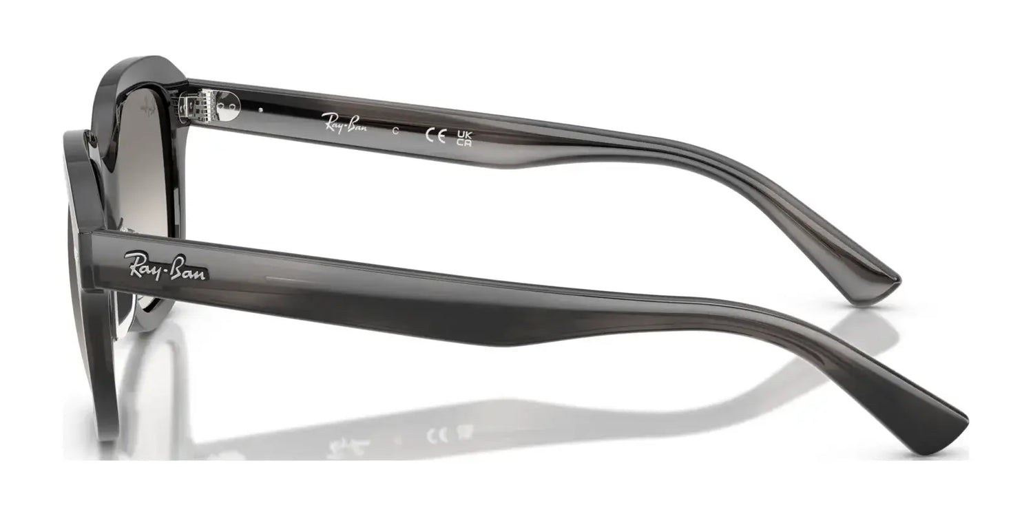 Ray-Ban ERIK RB4398F Sunglasses | Size 53 Ray-Ban ERIK RB4398F Sunglasses | Size 53