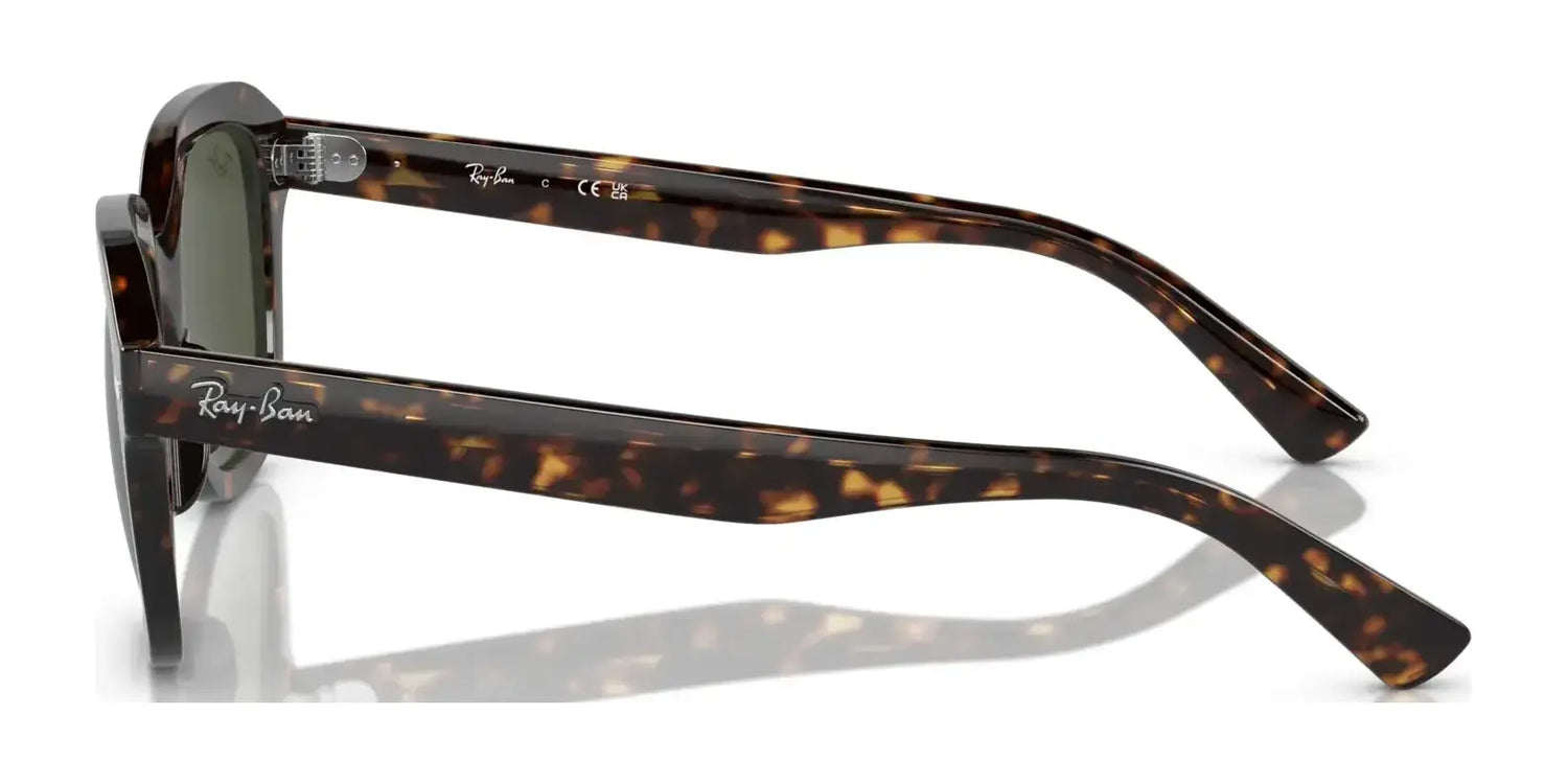 Ray-Ban ERIK RB4398F Sunglasses | Size 53 Ray-Ban ERIK RB4398F Sunglasses | Size 53