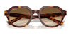 Ray-Ban GINA RB4399 Sunglasses / Havana №902/31 / Green (3N 13.2%) / Size 51