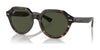 Ray-Ban GINA RB4399 Sunglasses / Havana №902/31 / Green (3N 13.2%) / Size 51