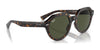 Ray-Ban GINA RB4399 Sunglasses / Havana №902/31 / Green (3N 13.2%) / Size 51