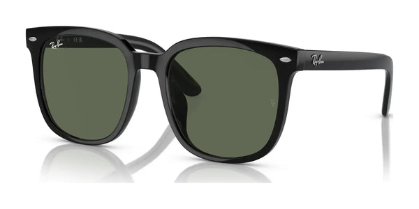 Ray-Ban RB4401D Sunglasses / Black №601/71 / Dark Green (3N 12.9%) / Size 55