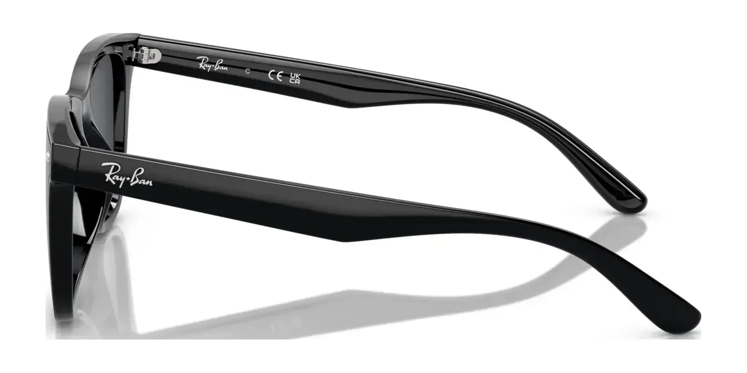 Ray-Ban RB4420 Sunglasses | Size 65 Ray-Ban RB4420 Sunglasses | Size 65