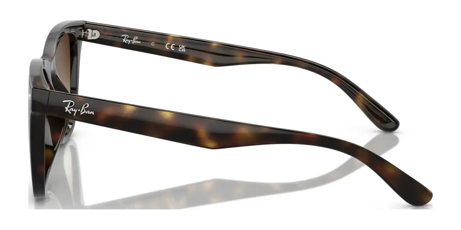 Ray-Ban RB4420 Sunglasses | Size 65 Ray-Ban RB4420 Sunglasses | Size 65