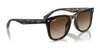 Ray-Ban RB4420 Sunglasses | Size 65 / Black №601/87 / Dark Grey (3N 9.3%)