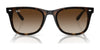 Ray-Ban RB4420 Sunglasses | Size 65 / Black №601/87 / Dark Grey (3N 9.3%)