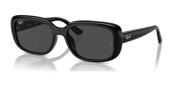 Ray-Ban RB4421D Sunglasses | Size 56 / Black №667787 / Dark Grey (3N 10.1%)